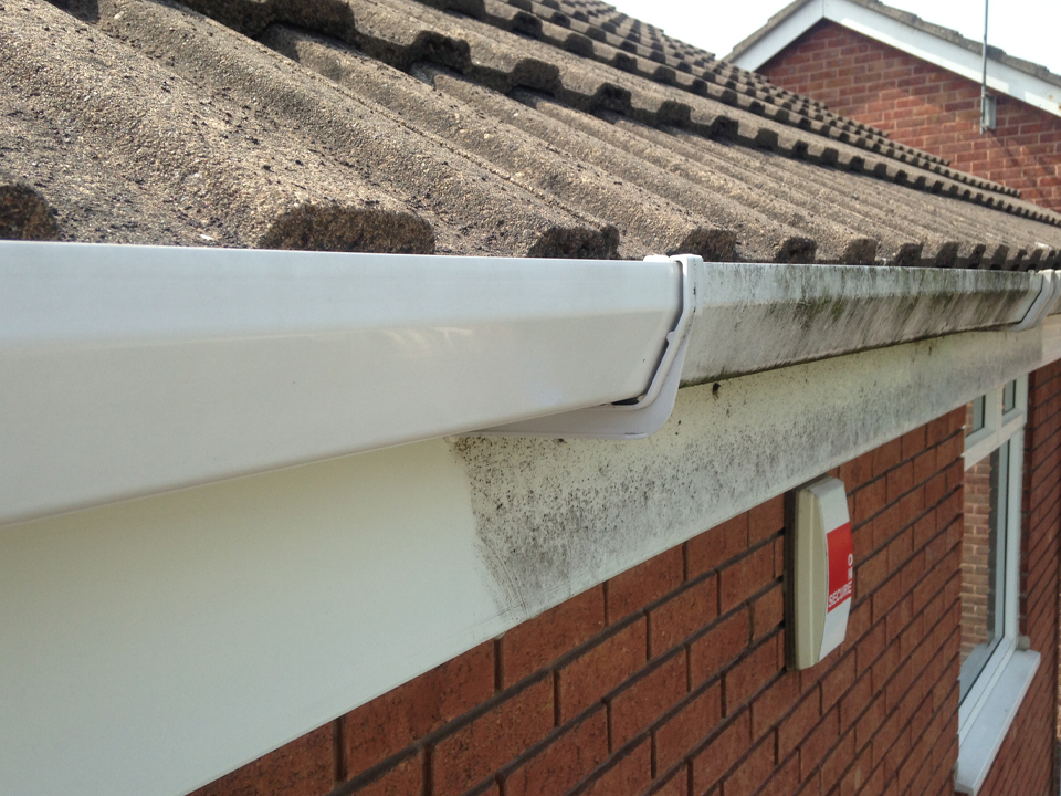 pane_relief_fascia_cleaning_5 pane_relief_fascia_cleaning_5