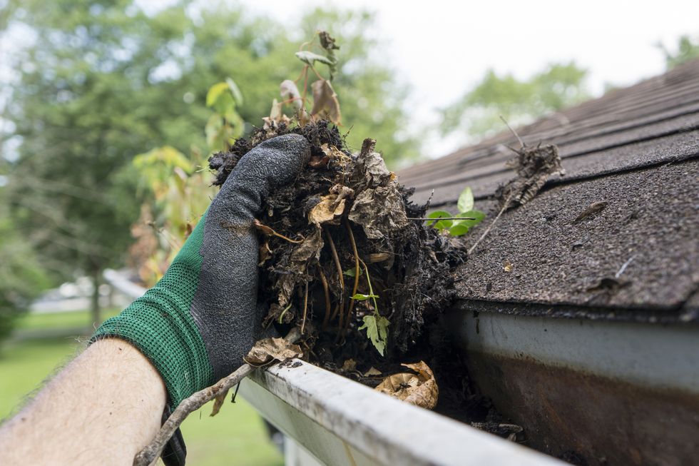 pane_relief_gutter_cleaning pane_relief_gutter_cleaning