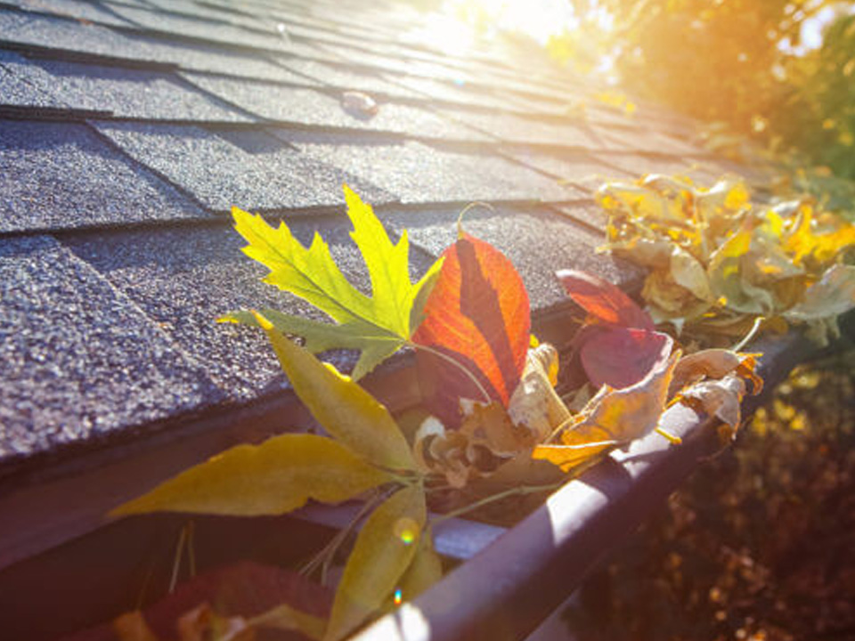 pane_relief_gutter_cleaning_3 pane_relief_gutter_cleaning_3
